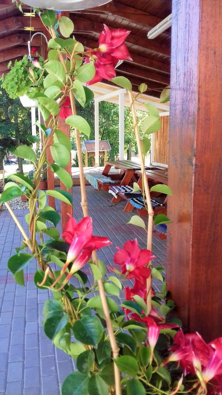 Kristaly Vendeghaz Hotel Bogacs Luaran gambar